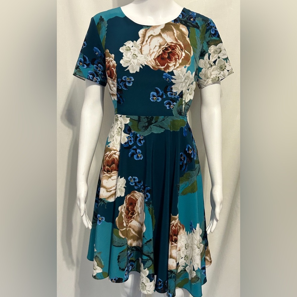 Anthropologie Corey Lynn Calter Sz 4 Flowy Whimsy Floral Dress Cottagecore Boho